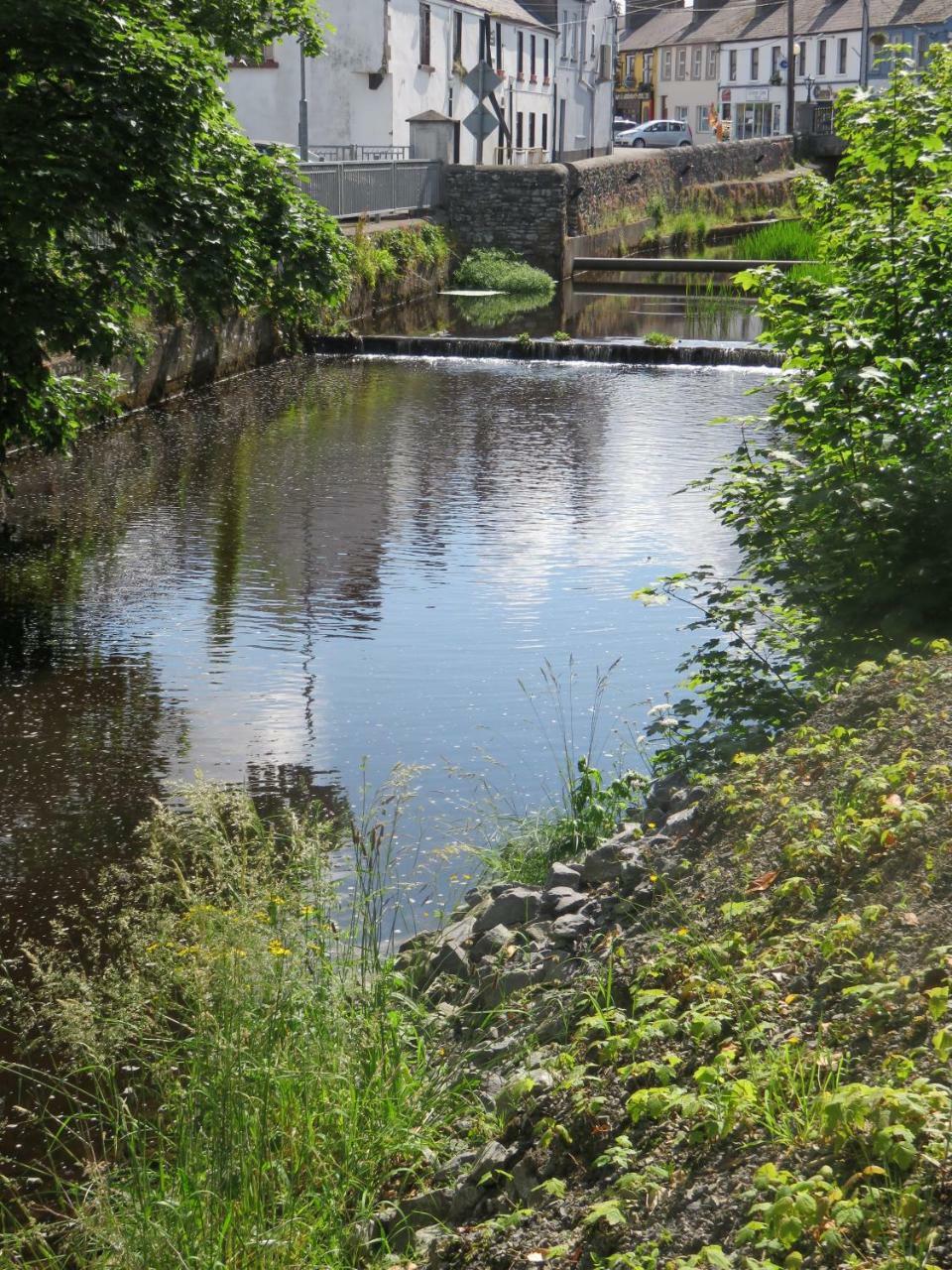 Riverside Guesthouse Charlestown Zewnętrze zdjęcie